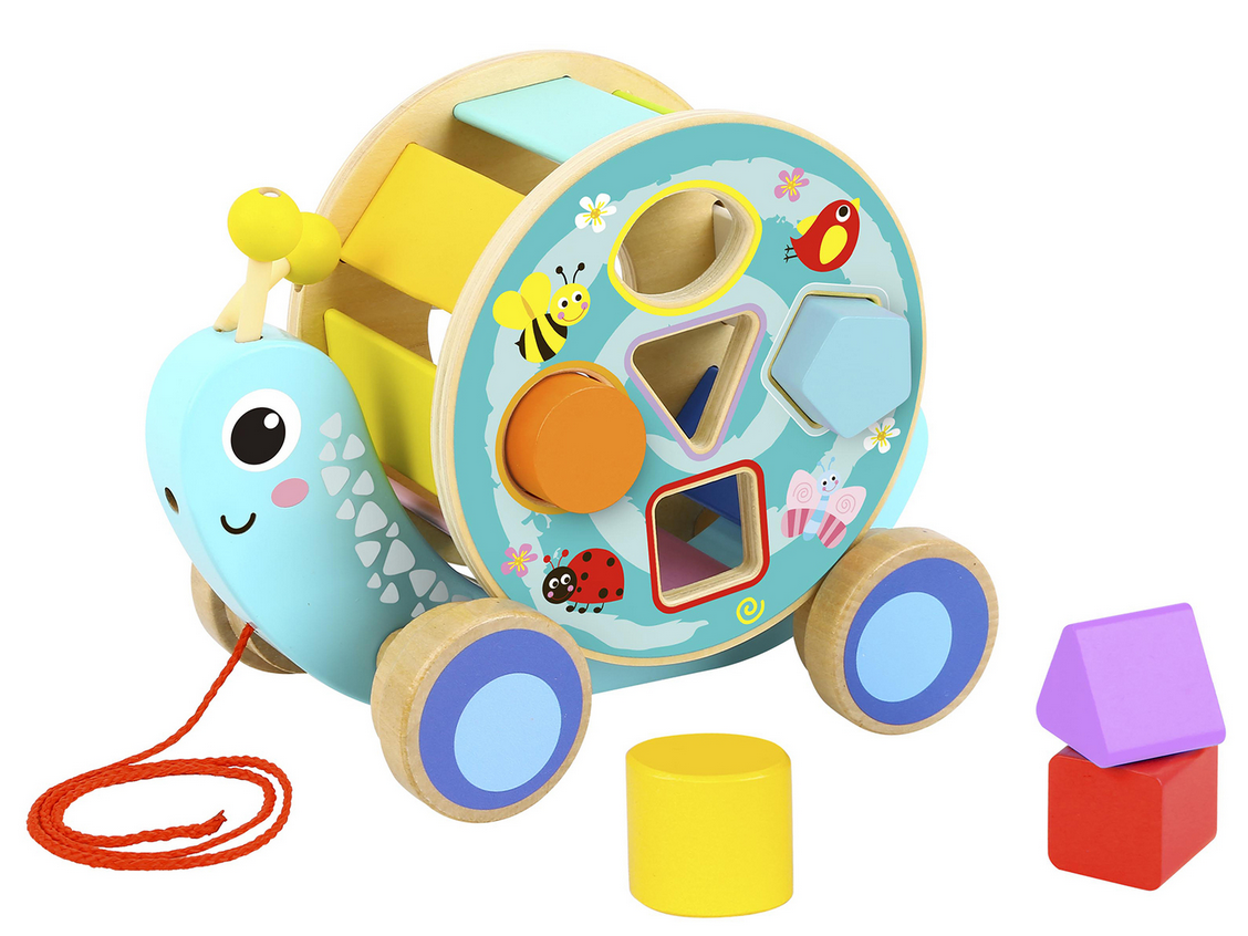Snail Toy With Rolling Wheel & Blocks